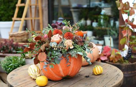 Herfstworkshop